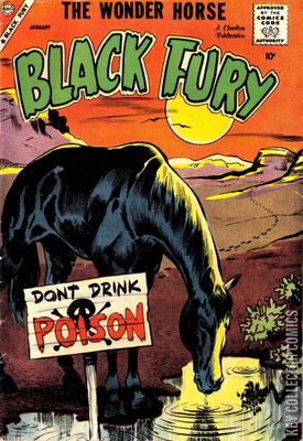 Black Fury