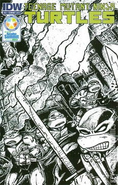 Variant Cover for Teenage Mutant Ninja Turtles #21