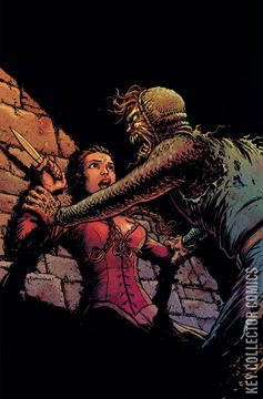 Variant Cover for Army of Darkness: Forever #8