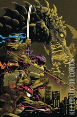 Variant Cover for Teenage Mutant Ninja Turtles #142