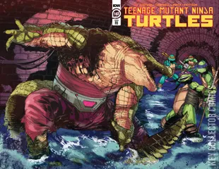 Variant Cover for Teenage Mutant Ninja Turtles #143
