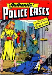Authentic Police Cases #11