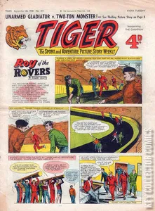 Tiger #211