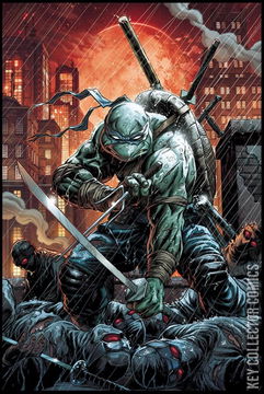 Variant Cover for Teenage Mutant Ninja Turtles: The Last Ronin #5