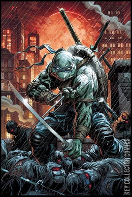Teenage Mutant Ninja Turtles: The Last Ronin