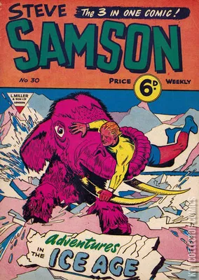 Steve Samson