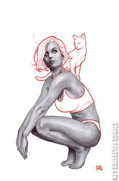 Variant Cover for Catwoman #71