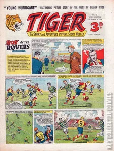 Tiger #13