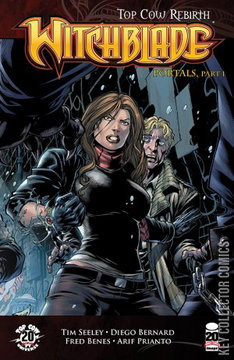 Variant Cover for Witchblade #157