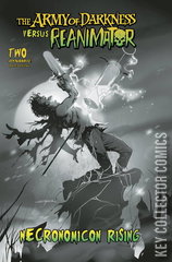 Variant Cover for Army of Darkness vs. Reanimator: Necronomicon Rising #2