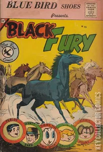 Black Fury #15