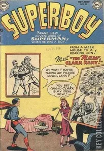 Superboy #22