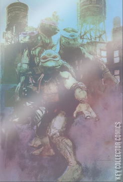 Variant Cover for Teenage Mutant Ninja Turtles: Boxed Set - Torpedo Comics