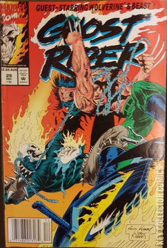 Variant Cover for Ghost Rider #29