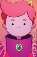 Variant Cover for Adventure Time: Fionna and Cake #4