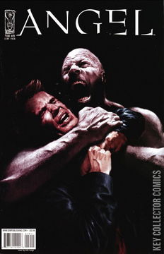 Variant Cover for Angel: After the Fall #19