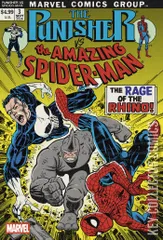 Cover for Punisher vs Spider-Man #3
