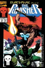 Cover for Punisher #78