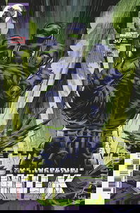 Incredible Hulk, The #30