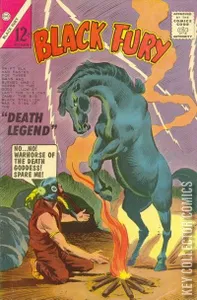 Black Fury #49