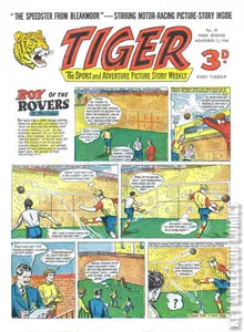 Tiger #10