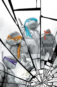 Teenage Mutant Ninja Turtles #140