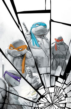 Variant Cover for Teenage Mutant Ninja Turtles #140