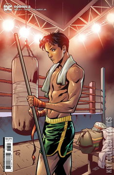 Variant Cover for Robins #3