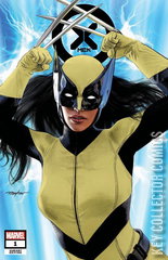 Variant Cover for X-Men #1