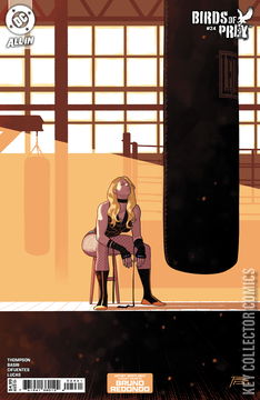 Variant Cover for Birds of Prey #24