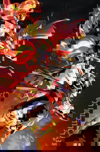 Inferno Girl: Red - Book Two