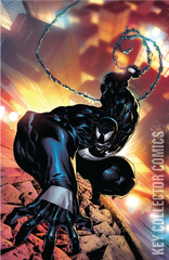 Variant Cover for Venom #12