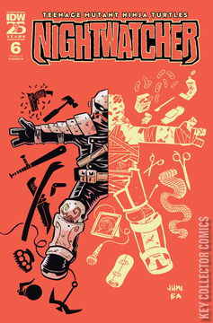 Variant Cover for Teenage Mutant Ninja Turtles: Nightwatcher #6