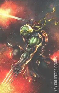 Teenage Mutant Ninja Turtles: Jennika #2