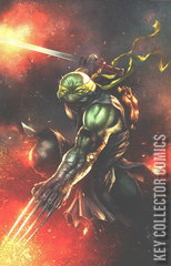 Variant Cover for Teenage Mutant Ninja Turtles: Jennika #2