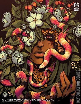 Variant Cover for Wonder Woman Historia: The Amazons #2