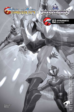 Variant Cover for Thundercats x Silverhawks #2