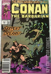 Variant Cover for Conan the Barbarian #237