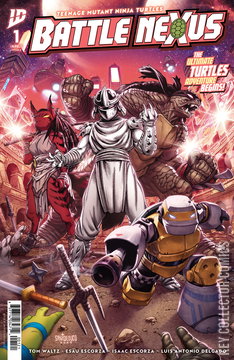 Variant Cover for Teenage Mutant Ninja Turtles: Battle Nexus #1
