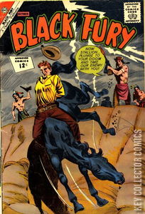 Black Fury #38