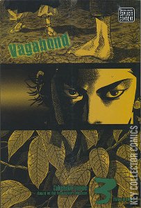Vagabond (Vizbig Edition) #3