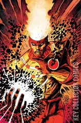 Variant Cover for Fury of Firestorm #5
