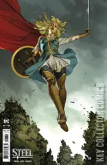 Variant Cover for Dark Knights of Steel #6