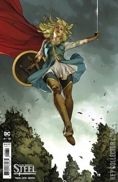 Variant Cover for Dark Knights of Steel #6