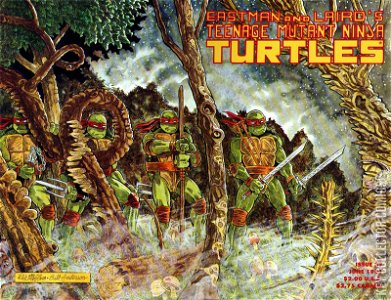 Teenage Mutant Ninja Turtles #37