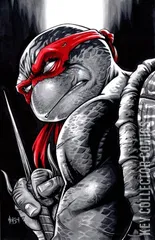 Variant Cover for Teenage Mutant Ninja Turtles #132
