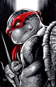Teenage Mutant Ninja Turtles #132