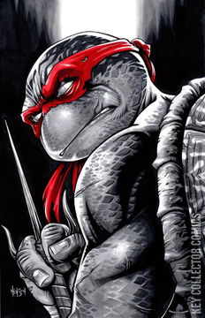 Variant Cover for Teenage Mutant Ninja Turtles #132