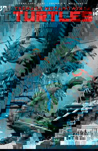 Teenage Mutant Ninja Turtles #14