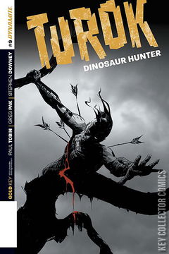 Variant Cover for Turok Dinosaur Hunter #9